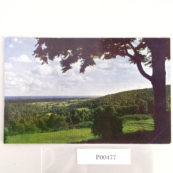 Monticello Thomas Jefferson Home View Charlottesville Virginia 1950s Postcard - Picture 1 of 2